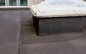 disadvantages of Hornsbury flat roofs
