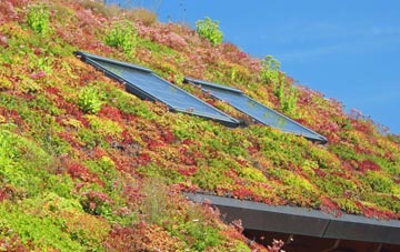 Hornsbury living roof systems
